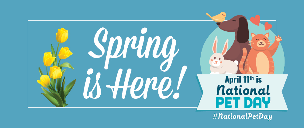 Seasonal Home Banner - Love Your Hearing!